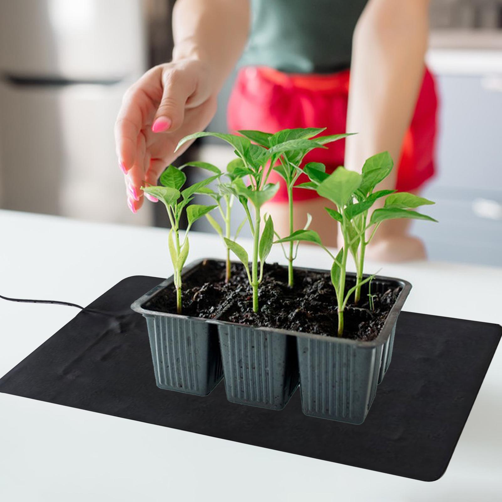 سجادة تسخين للشتلات بقوة 8.5 و - مراجعة Seedling Heat Pad وسعره