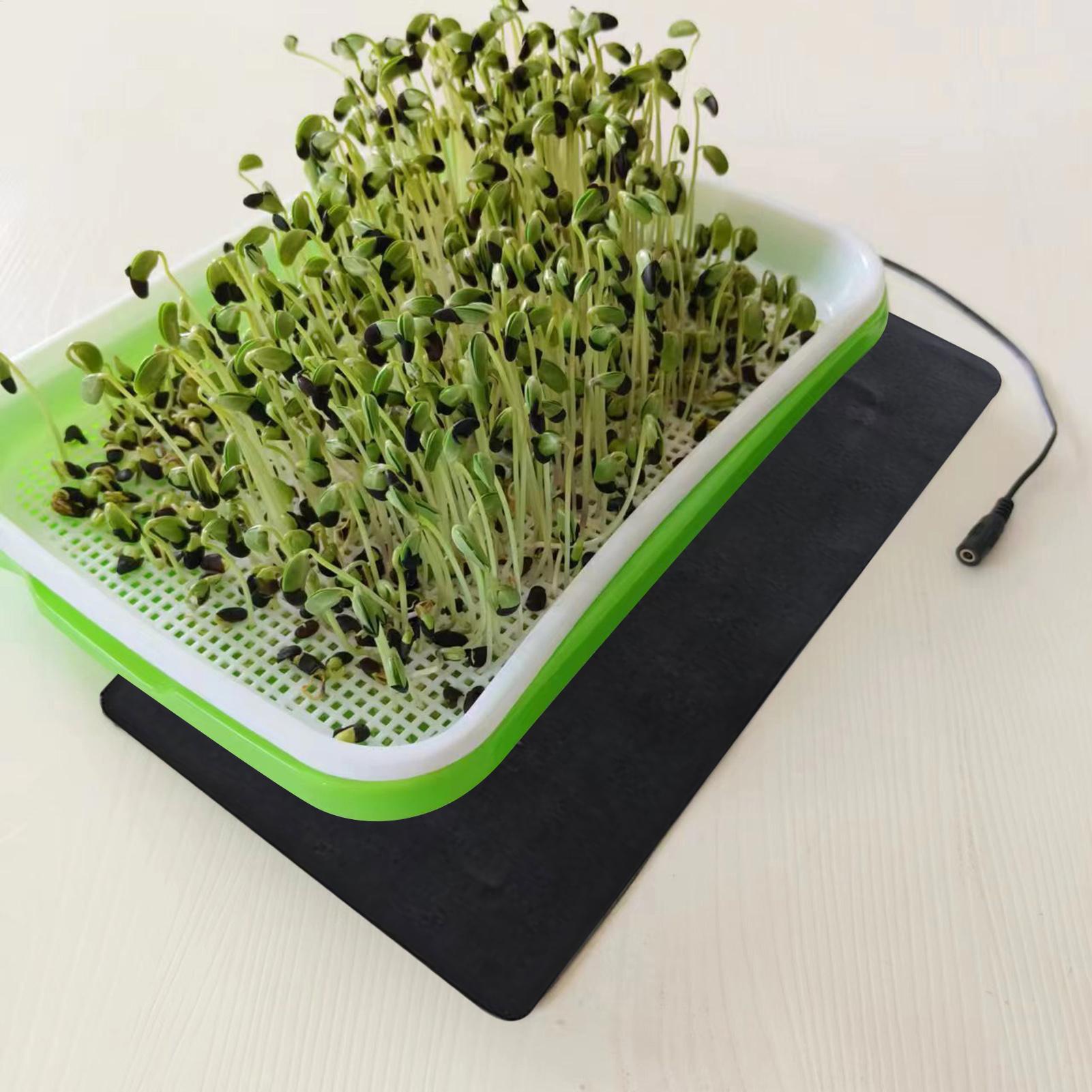 سجادة تسخين للشتلات بقوة 8.5 و - مراجعة Seedling Heat Pad وسعره